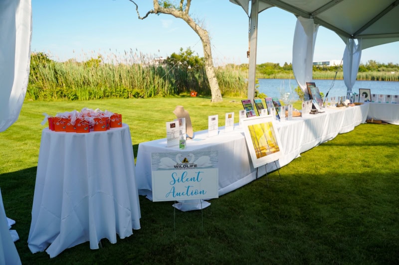 Evelyn Alexander Wildlife Rescue "Get Wild"  Benefit 2022