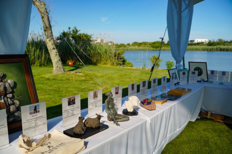 Evelyn Alexander Wildlife Rescue "Get Wild"  Benefit 2022