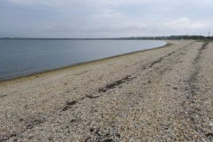 Surfrider Foundation & The Beach by Whispering Angel 2022