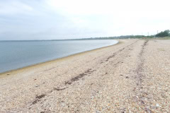 Surfrider Foundation & The Beach by Whispering Angel 2022