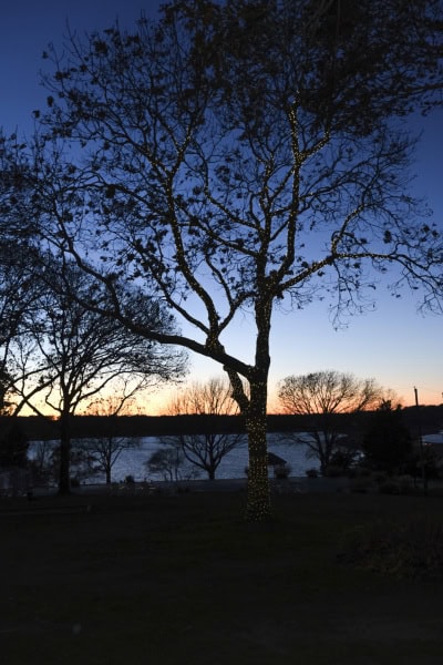 Ram's Head Inn's Winterfest 2022