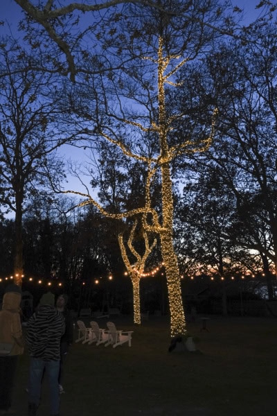 Ram's Head Inn's Winterfest 2022