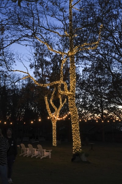 Ram's Head Inn's Winterfest 2022