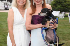 13 Annual Unconditional Love Gala
