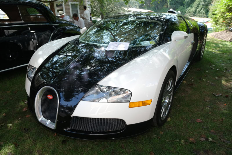 CONCOURS de ELEGANCE