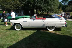 CONCOURS de ELEGANCE