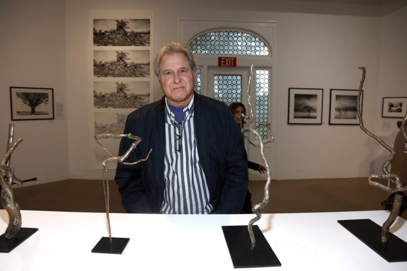 A Celebration of Trees Opening