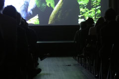 A Celebration of Trees Opening