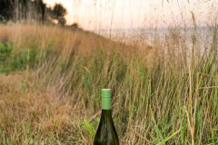 Cloudy-Bay-x-Outstanding-In-The-Field-Dinner2