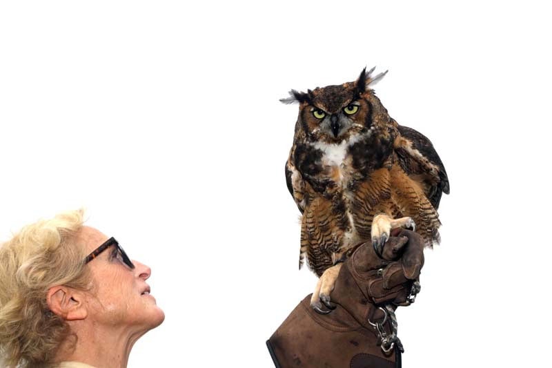 "Get Wild" Wildlife Benefit -Evelyn Alexander Wildlife Rescue