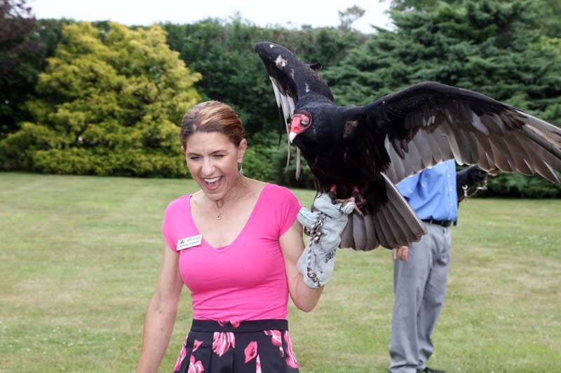 "Get Wild" Wildlife Benefit -Evelyn Alexander Wildlife Rescue