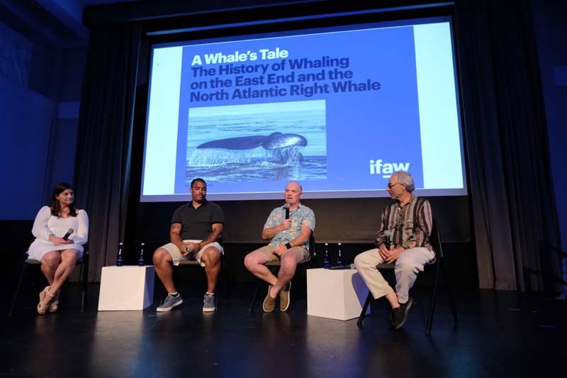TALK: A Whale's Tale: Panel + Screening of Saving the Right Whales 7-9-23