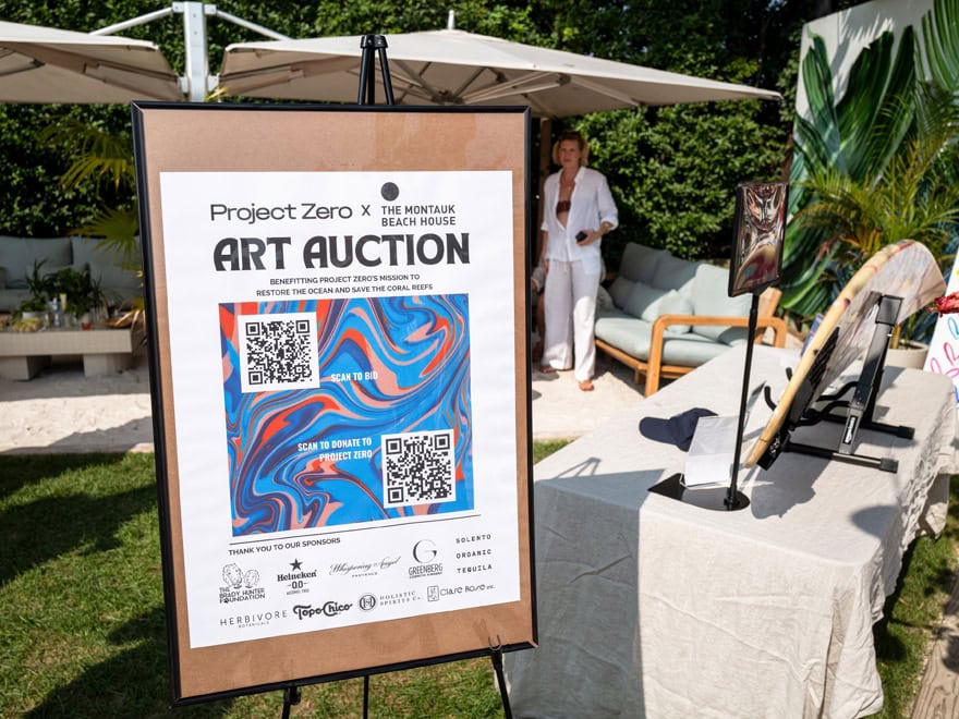 project-zero-fundraiser-montauk18 project-zero-fundraiser-montauk18