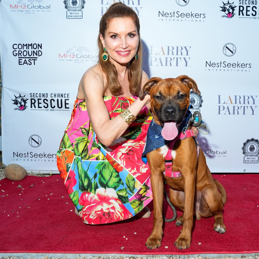 NYC Second Chance Rescue Concert For A Cause NYC Second Chance Rescue Concert For A Cause