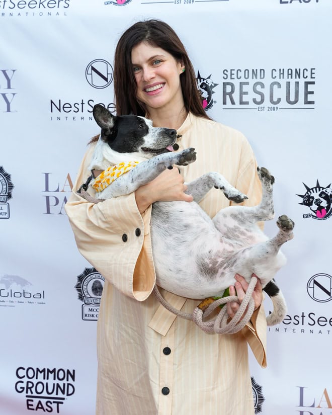 NYC Second Chance Rescue Concert For A Cause NYC Second Chance Rescue Concert For A Cause
