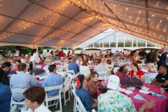 SFAH 37th.Picnic with Grucci Fireworks on 7-12-24