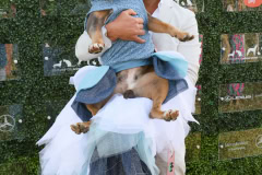 Unconditional Love Gala to benefit the Southampton Animal Shelter Foundation on 7-20-24