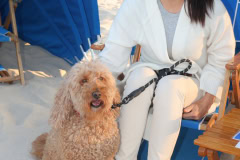 Southampton Village Hosts   \"Walk the Sand Way\" Fashion Show