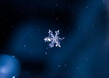 Westhampton Library’s Ornament Workshop