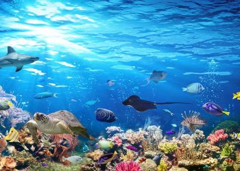 Long Island Aquarium’s Behind The Scenes Tour