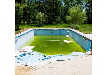 New Beginnings, And I Feel Fine