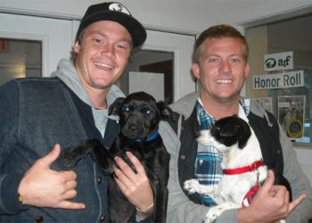 East Hampton Surfers Help With ARF’s Latest Rescue From Puerto Rico