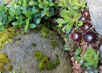 Springing In The Hamptons: Early Spring