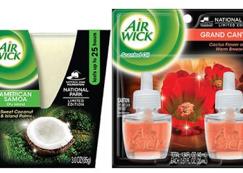 Celebrate National Park Week By Making Your Hamptons Home Smell Like An Oasis