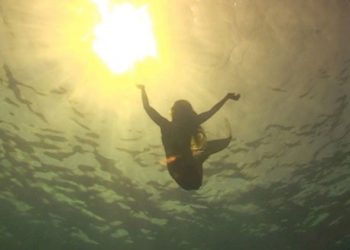 Film, Fur, And Fin At Hamptons Gallery