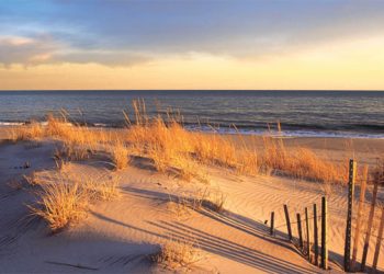 19th Annual Juried Fine Art Show On The Montauk Green