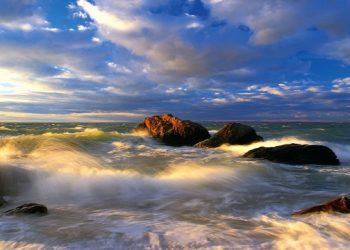 2013 Westhampton Festival of the Arts