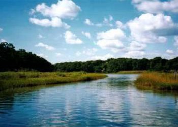 Hamptons Real Estate:  How is the Town of Southampton Trying to Preserve the Land?