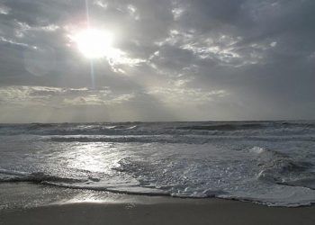 Two-Day “Four Points Of View” Hamptons Exhibit