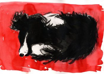 Animal Rescue Fund Of The Hamptons Releases 2014 Calendar