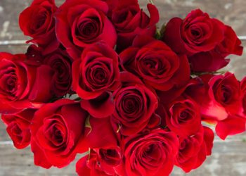 Hamptons Holiday Gift Guide: Eight Valentine’s Day Ideas For Her