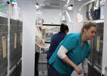 Long Island Animal Shelters Hold Successful World Spay Day Campaign