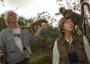 Primatologist Dr. Patricia C. Wright To Be Honored At “Stars Of Stony Brook Gala”