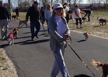 Hamptons Theater Honors John Steinbeck With Four Day Festival