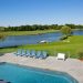 Hamptons Hedges: Creating the Perfect Backyard Paradise