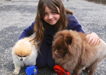 Animal Rescue Fund Of The Hamptons Celebrates 40 Years