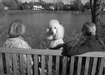 North Fork And Hamptons Galleries: Six New Exhibitions To Visit In May