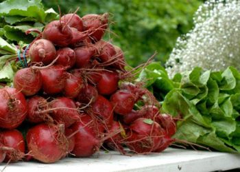 Eat Local: Hamptons Farmers’ Markets Back In Action