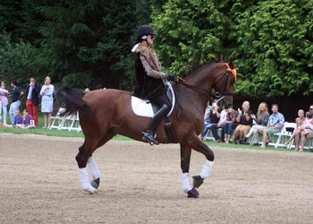 Stony Hill Stables Hosting Annual Hamptons Benefit Cocktail Party