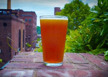 Bourbon, Beer, Vodka, Rum, And Gin-Based Father’s Day Drinks