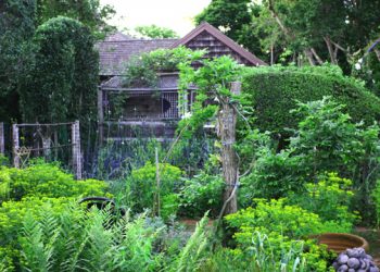 Much Ado About Madoo To Host 4th Annual Hamptons Garden Show