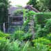 Much Ado About Madoo To Host 4th Annual Hamptons Garden Show