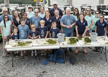 Volunteers Team Up With Stony Brook University To Help Revitalize Shinnecock Bay