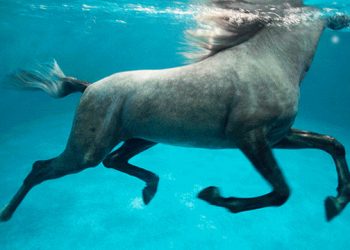 Art Southampton Returns To The Hamptons