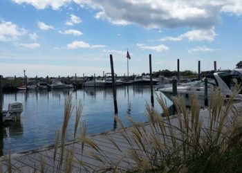Seafood Lovers Take Notice: Westhampton Beach To Host 3rd Annual Oyster Festival