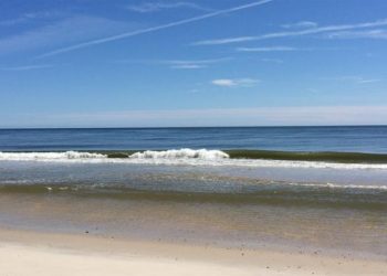 Flying Point Foundation For Autism Holding Annual Seaside 5K